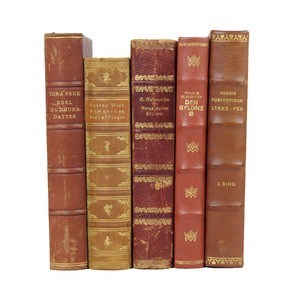 Set of 5 Scandinavian Leather-Bound Books in Brown and Red Tones